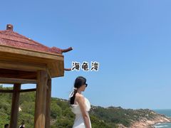 -广东惠东海龟国家级自然保护区