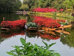 -深圳仙湖植物园