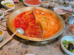 小龙坎毛肚-小龙坎火锅(全球总店)