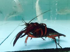 -龙达温泉生态城