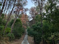 -青龙山国家森林公园