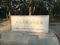 -北京麋鹿生态实验中心