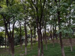 -南海子公园