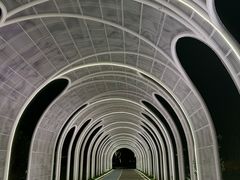-渤公岛生态公园