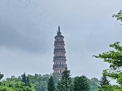 -顺峰山公园