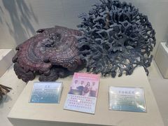 -广东中医药博物馆