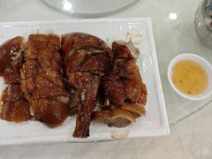 -姚林轩