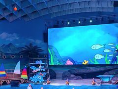 -海合安武汉极地海洋公园