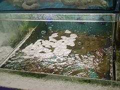 -坛南湾阿强农家乐.海鲜大排档老字号(福州地标美食店)