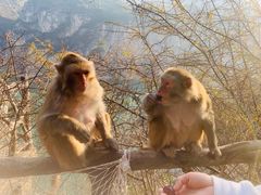 -白帝城·瞿塘峡景区