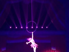 -珠海横琴长隆《卡卡虎奇遇记》