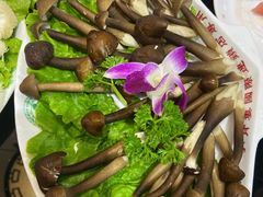 -小背篓菌汤火锅(济阳店)