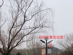 -南翠屏公园