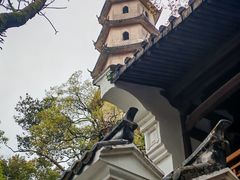 -江心屿景区
