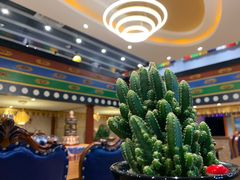 -后院犇牛主题餐厅(云岗店)