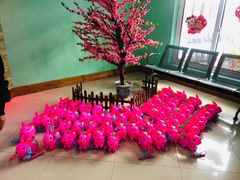 -上海浦东新区民办小白鸽幼儿园