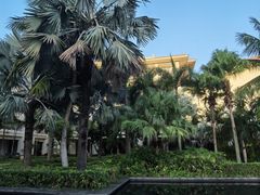 -海口喜来登酒店
