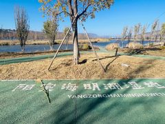 -阳宗海湿地