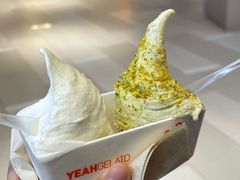 -野人先生现做冰淇淋(北京环宇荟店)
