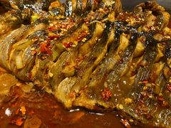 -鱼酷活鱼烤鱼(沈阳大悦城店)