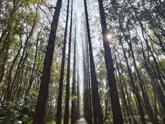-同里国家湿地公园
