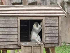 -上海野生动物园