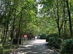 -千佛山风景名胜区