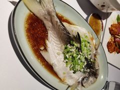 清蒸刁白鱼-禧宴Joyous Restaurant(禧园店)