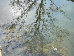 -羊山湖公园