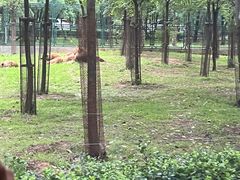 -秦皇岛野生动物园