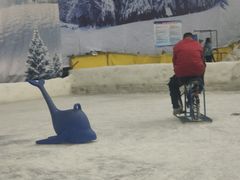 -赤马湖体育滑雪