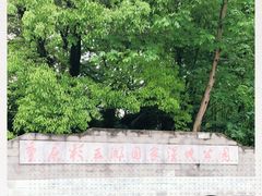 -重庆彩云湖湿地公园