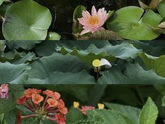 -宁波杭州湾国家湿地公园