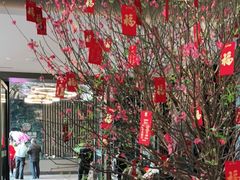 -金汇酒楼(中山东区店)
