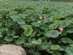 -长春世界雕塑园冰雪艺术天地