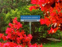 -上海滨江森林公园