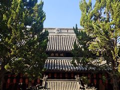 -秋霞圃