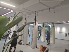 -EFL巴西柔术·综合格斗·泰拳·少儿体能训练(虹桥德必馆)