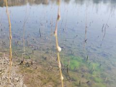 -高子水居