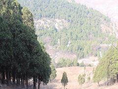 -四门塔风景区