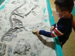-卡森乐园