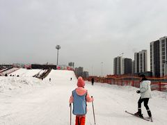 -沈阳奥体冰雪嘉年华