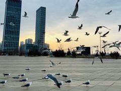 -东港音乐喷泉广场