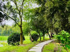 -白塔湖国家湿地公园