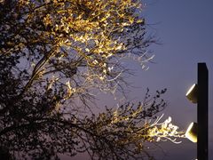 -天鹅湖体育公园