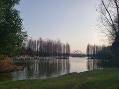 -艾溪湖湿地公园