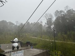 -中国大熊猫保护研究中心雅安碧峰峡基地