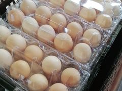 -马陆小张葡萄园农家乐