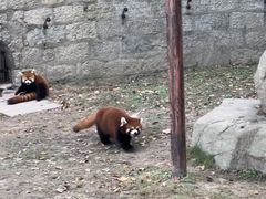 -上海野生动物园
