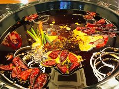 -重庆川渝肥妹火锅